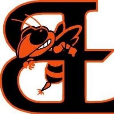 Between the Lines / BTL Hornets logo
